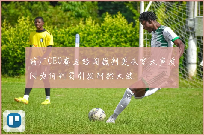 药厂CEO赛后怒闯裁判更衣室大声质问为何判罚引发轩然大波