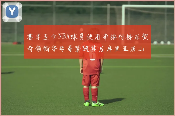 赛季至今NBA球员使用率排行榜东契奇领衔字母哥紧随其后库里亚历山大表现抢眼