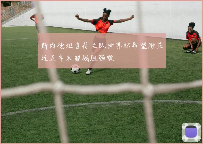 斯内德坦言荷兰队世界杯希望渺茫近五年未能战胜强敌