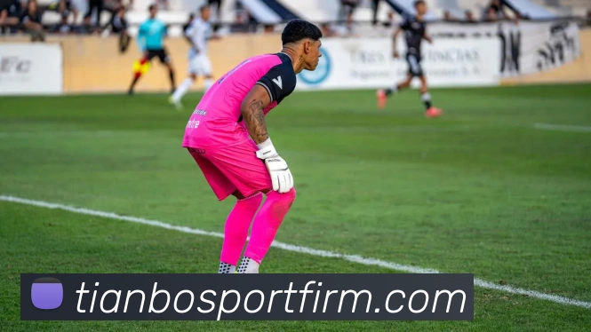 天博体育APP 高清赛事图